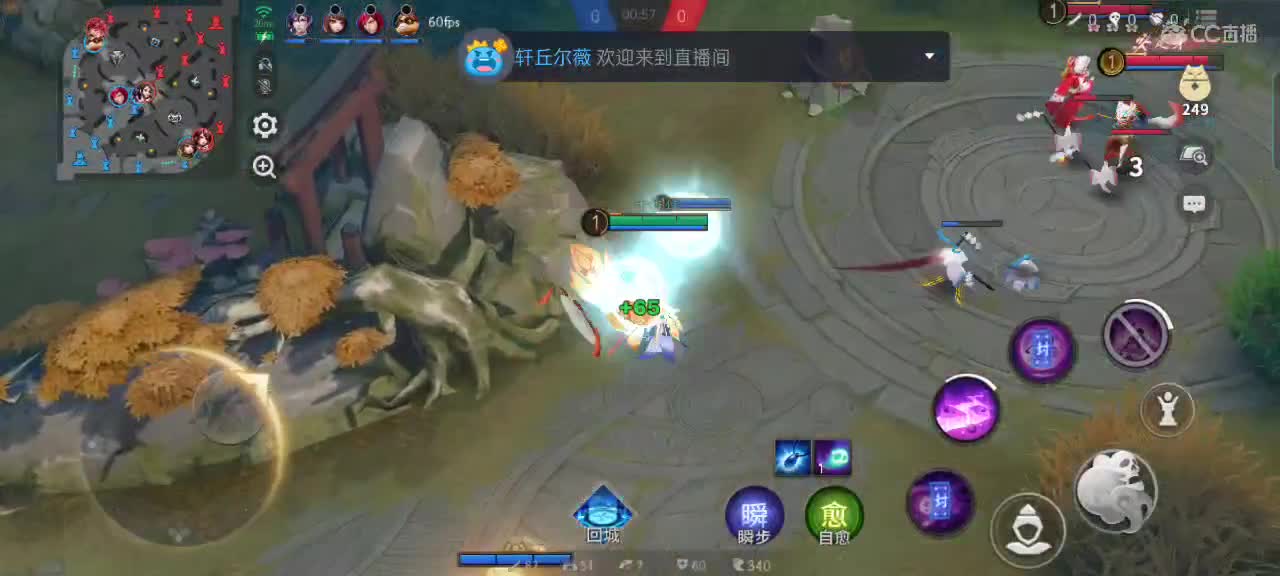 办卡可点将（指定式神）