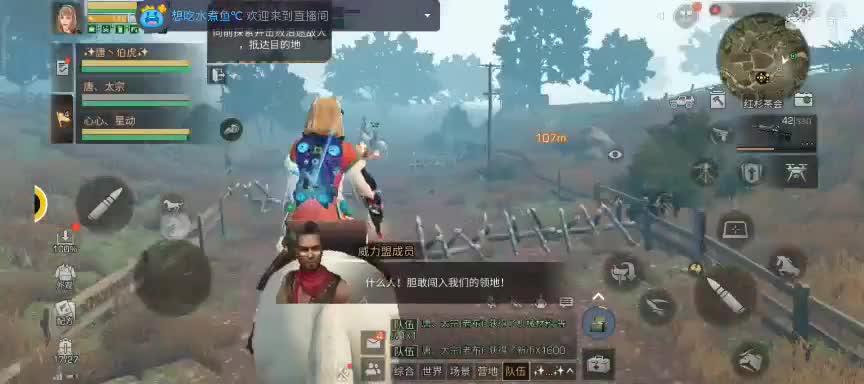 任性糖晚秋