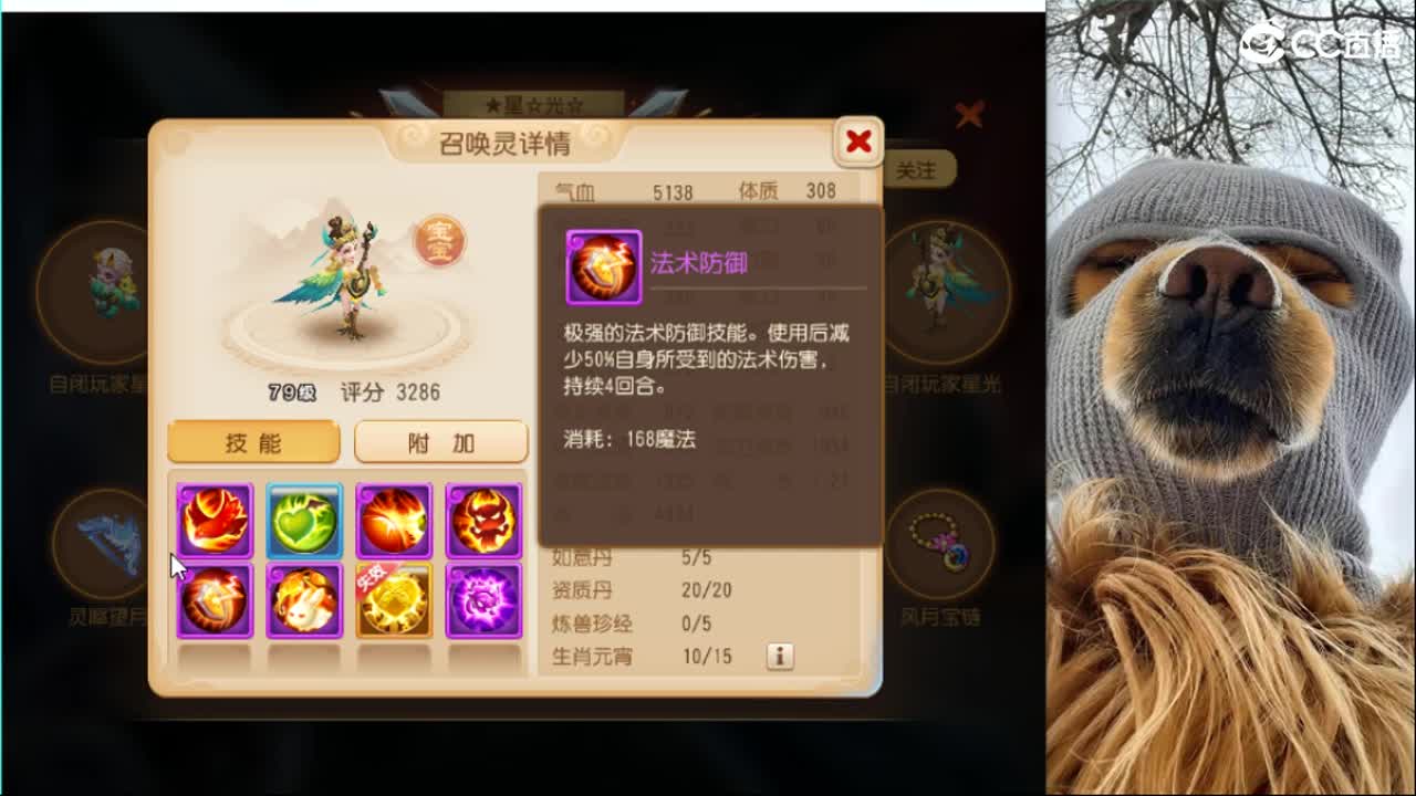 东海湾蜃境稳定第一名