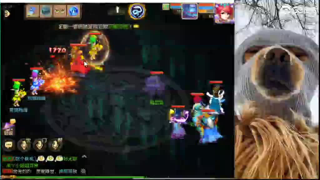 东海湾蜃境稳定第一名