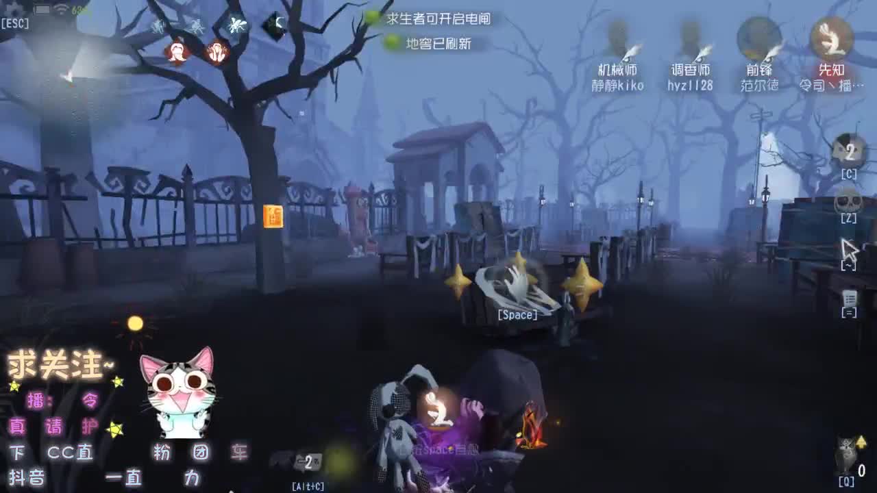 也没有见过有人在深夜放烟火