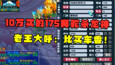 梦幻西游：10万买的175狮驼岭，带13锻装备，老王直呼：真舒服！