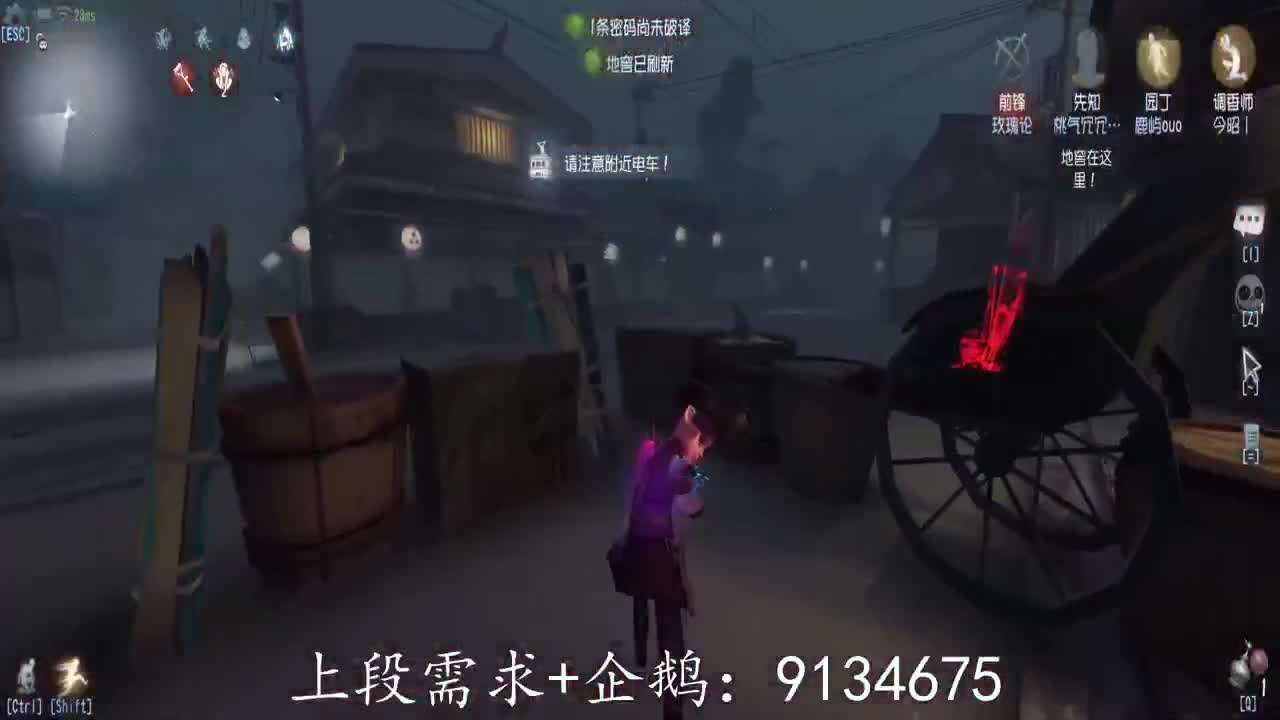 巅峰人皇在线接单