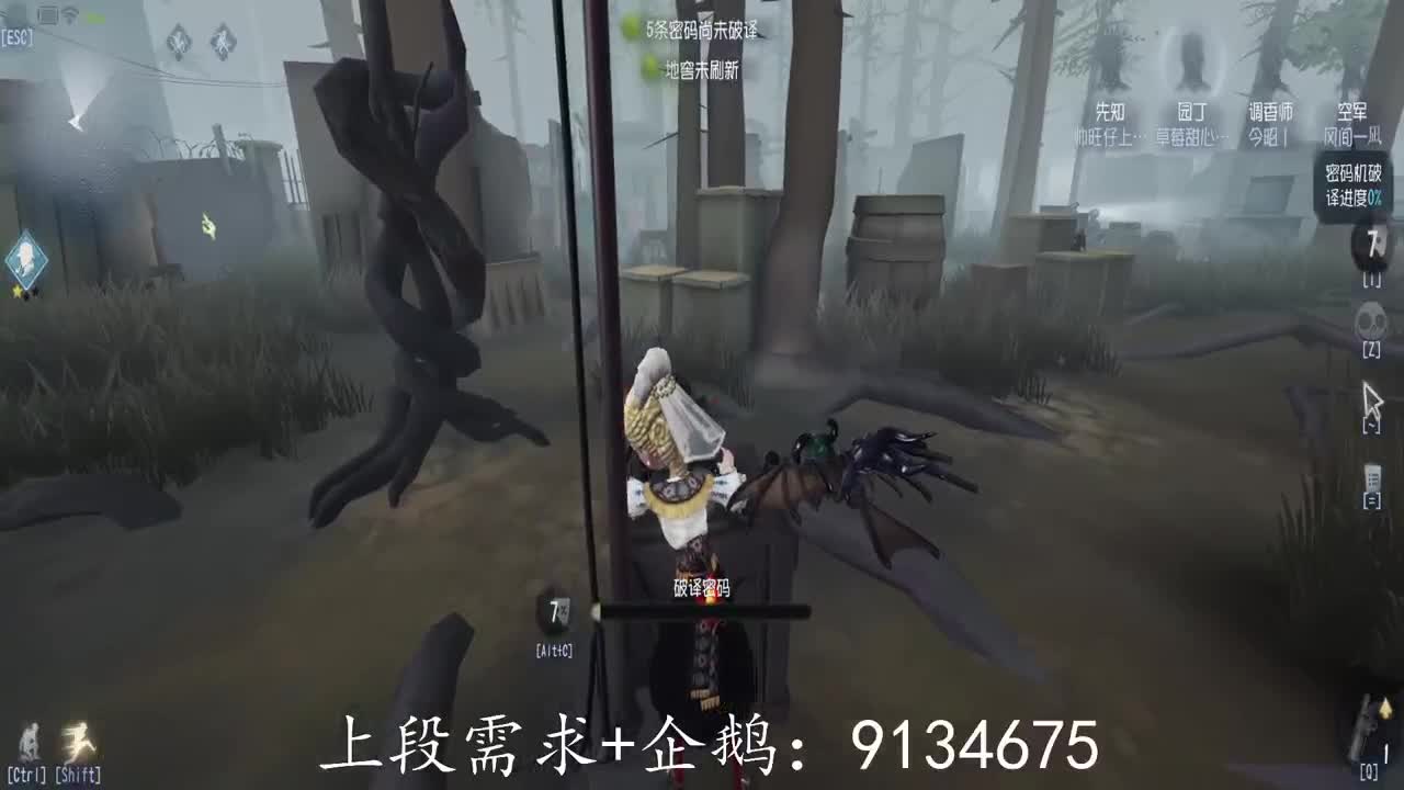 巅峰人皇在线接单 第1段