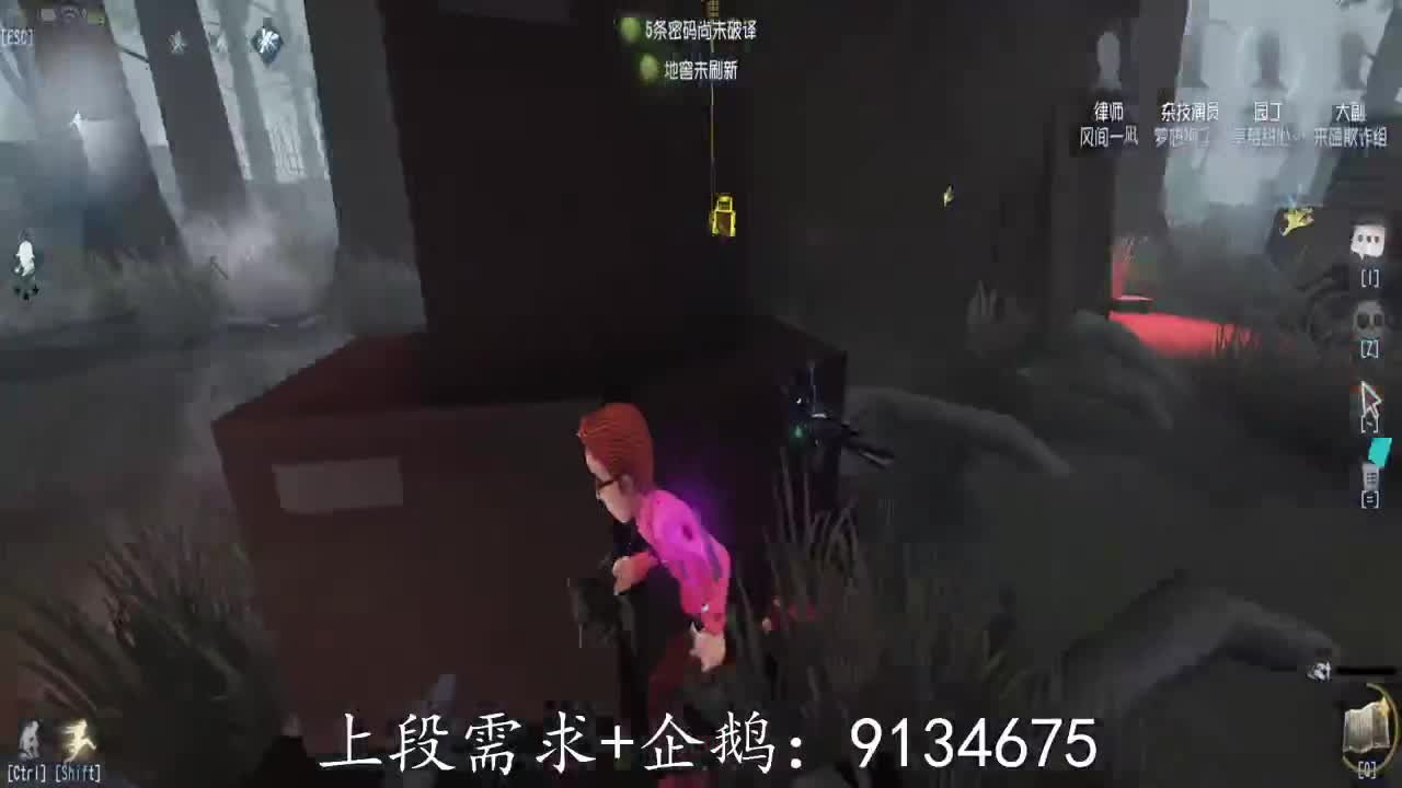 巅峰人皇在线接单