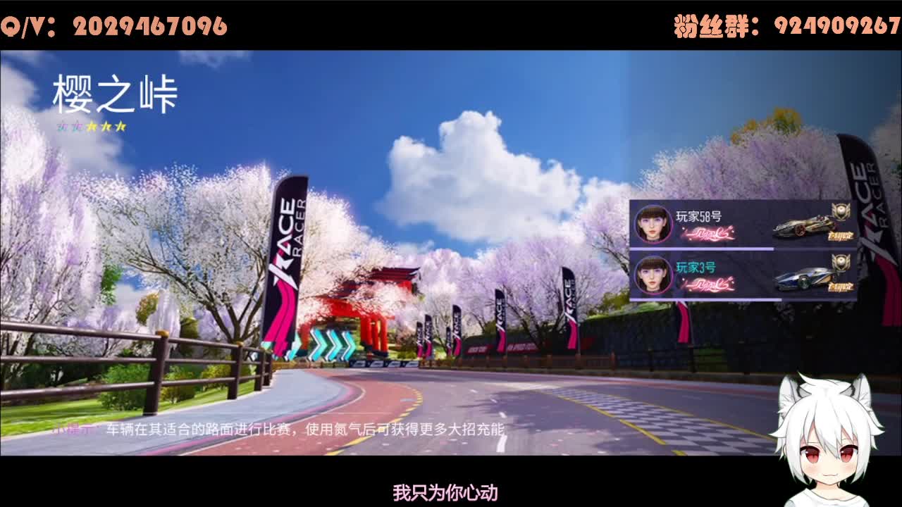 赏金赏金