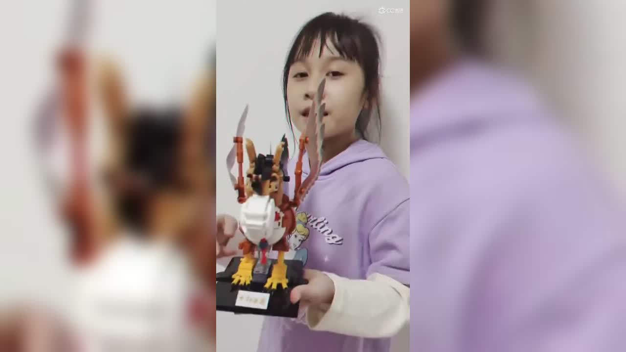 积木