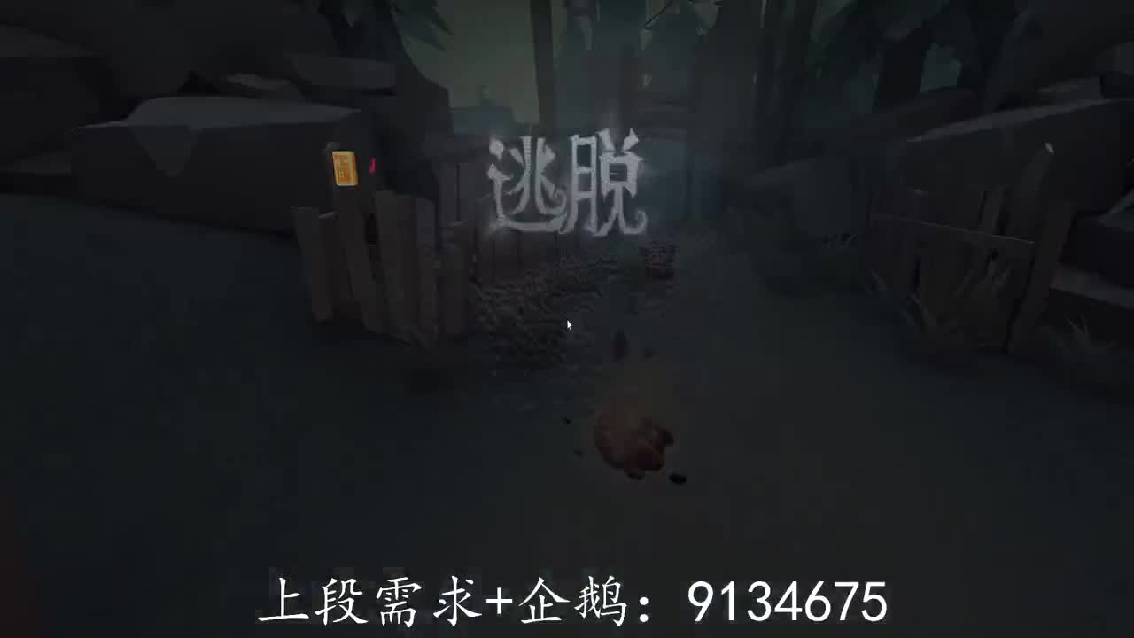 巅峰人皇在线接单
