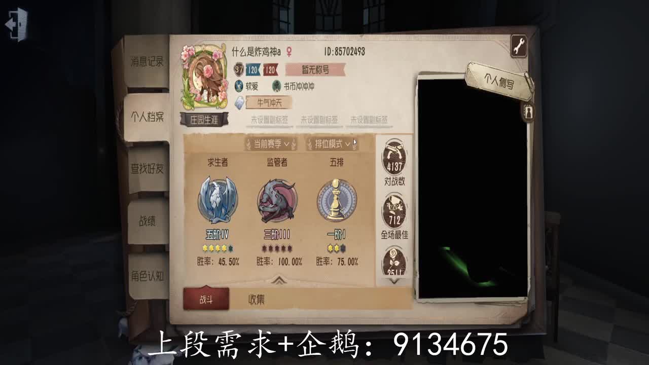 巅峰人皇在线接单