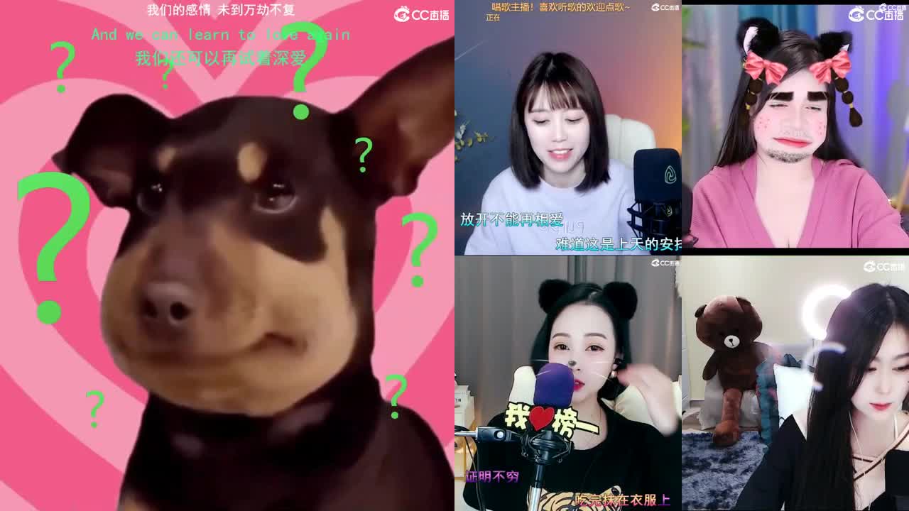 唱歌的勇武菜猪 第1段