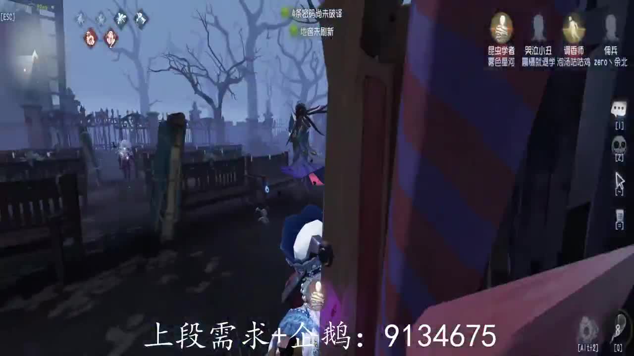 巅峰人皇在线接单