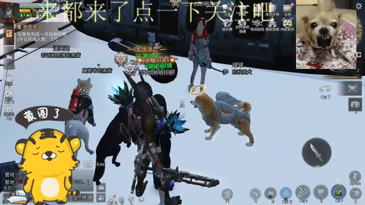 新人主播，求多关照 第1段