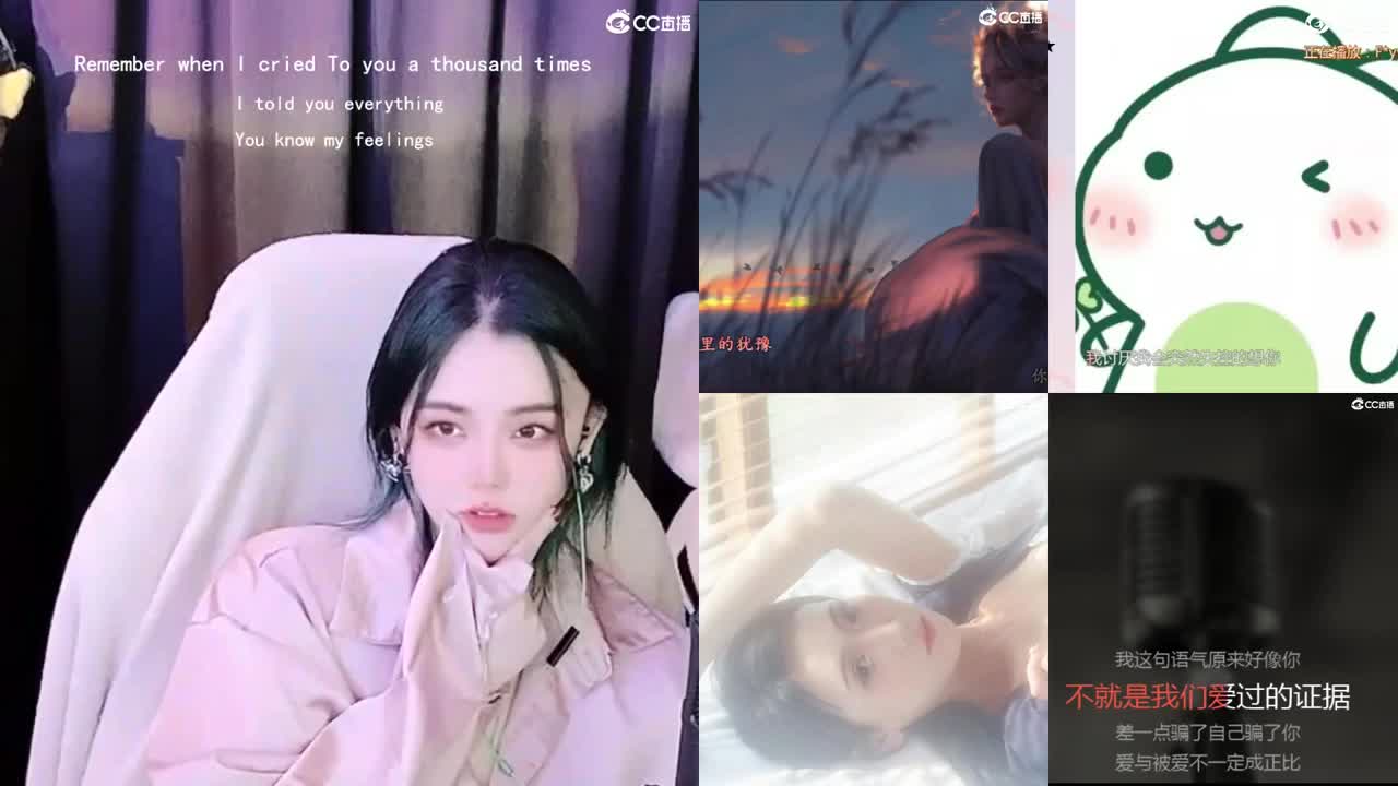 唱歌的勇武菜猪 第2段