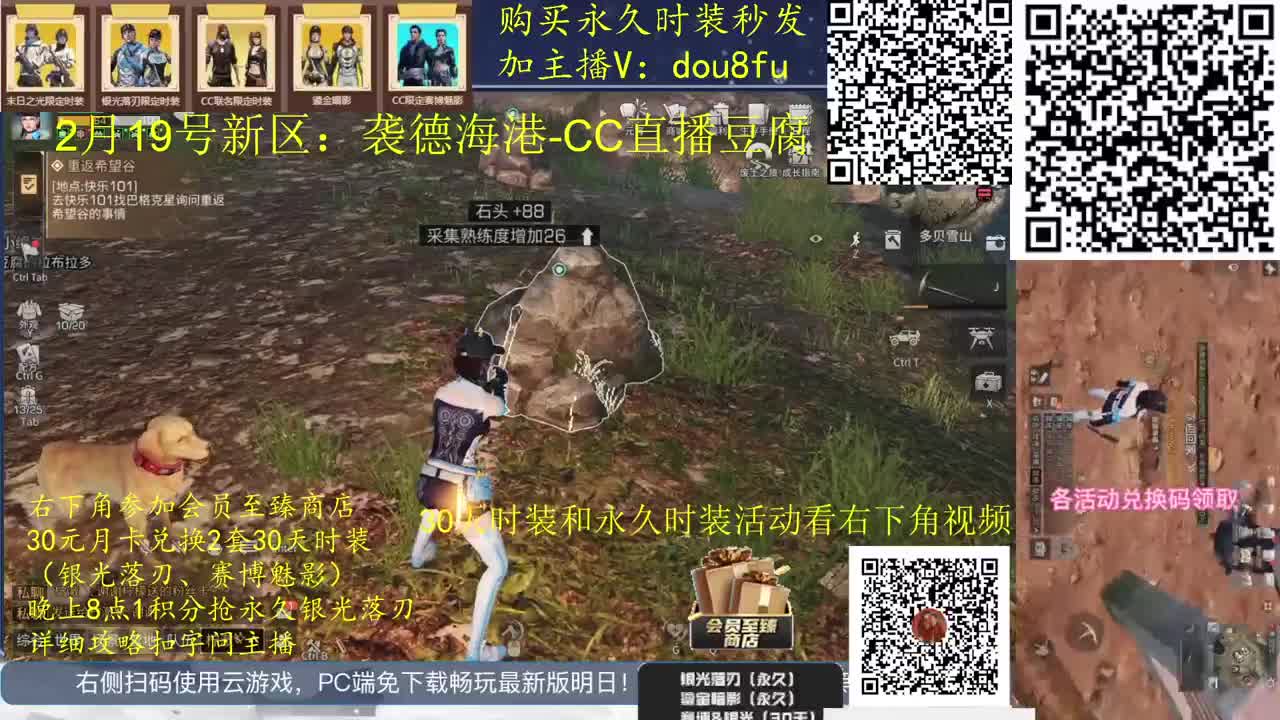 80永久蓝C白C黑九局.30月卡兑换CC