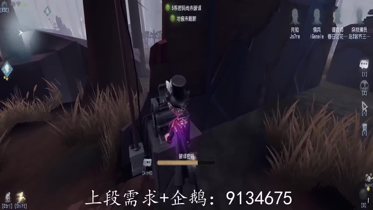 巅峰人皇在线接单