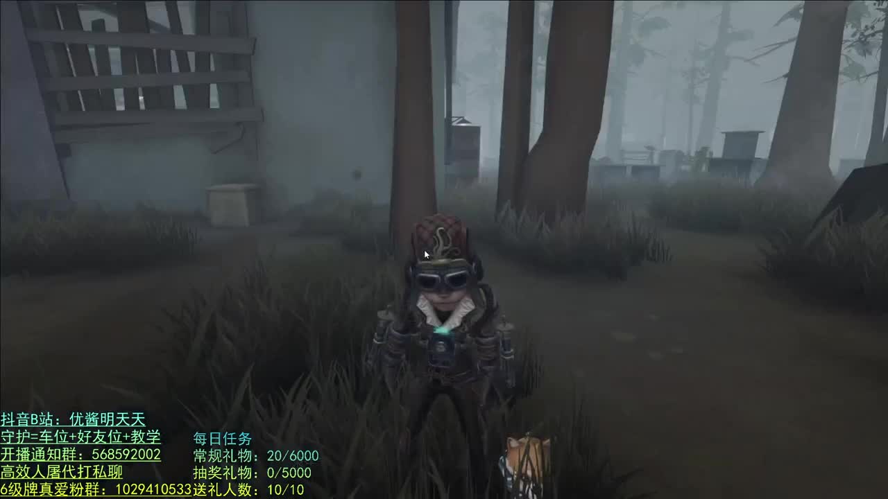 开心不请自来