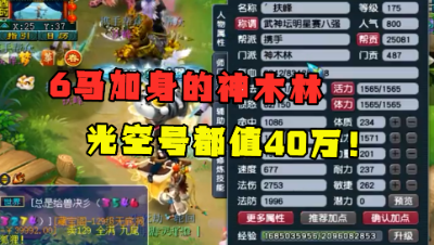 梦幻西游：175服战8强神木林，光空号都值40万，6只神马真的强！