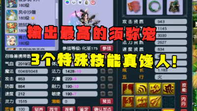 梦幻西游：输出没人比他猛，群秒输出16000，3特殊须弥伤害爆炸！