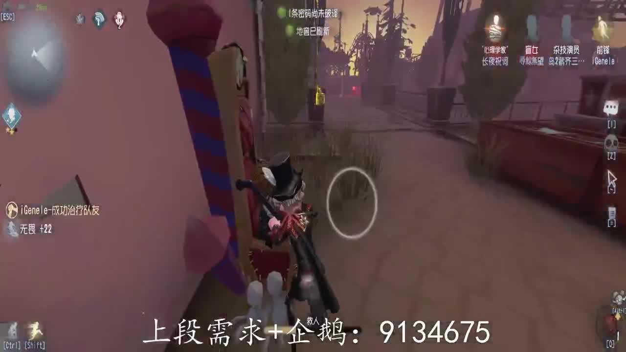 巅峰人皇在线接单