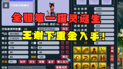 梦幻西游：王谢再现大手笔，重金入手全服第一猫灵，翻页13技能！