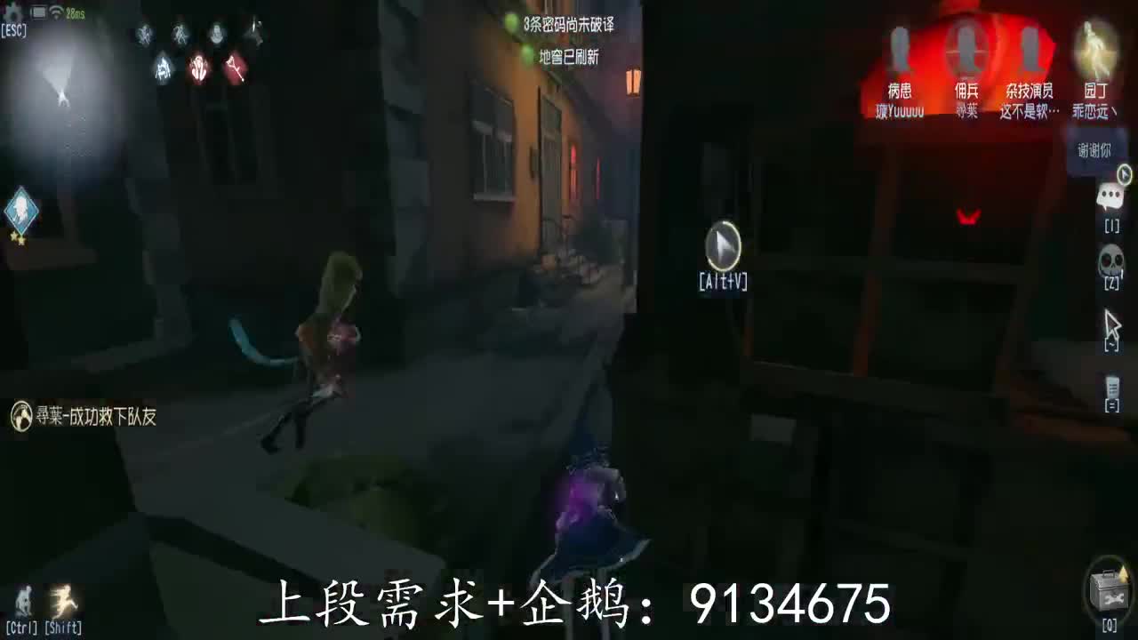 巅峰人皇在线接单