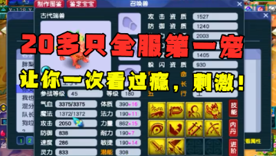 梦幻西游：20多只全服第一宠，让你一次看过瘾，个个带特殊技能！