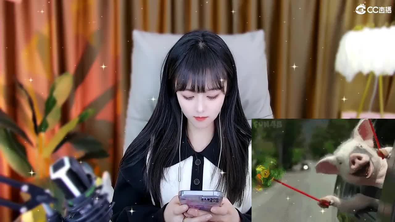 69广东四区白云山 第3段