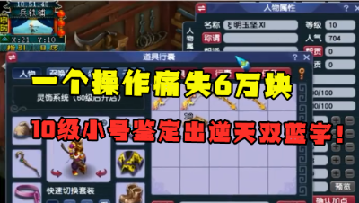 梦幻西游：一个错误操作痛失6万，10级小号鉴定逆天双蓝字，结局尴尬！