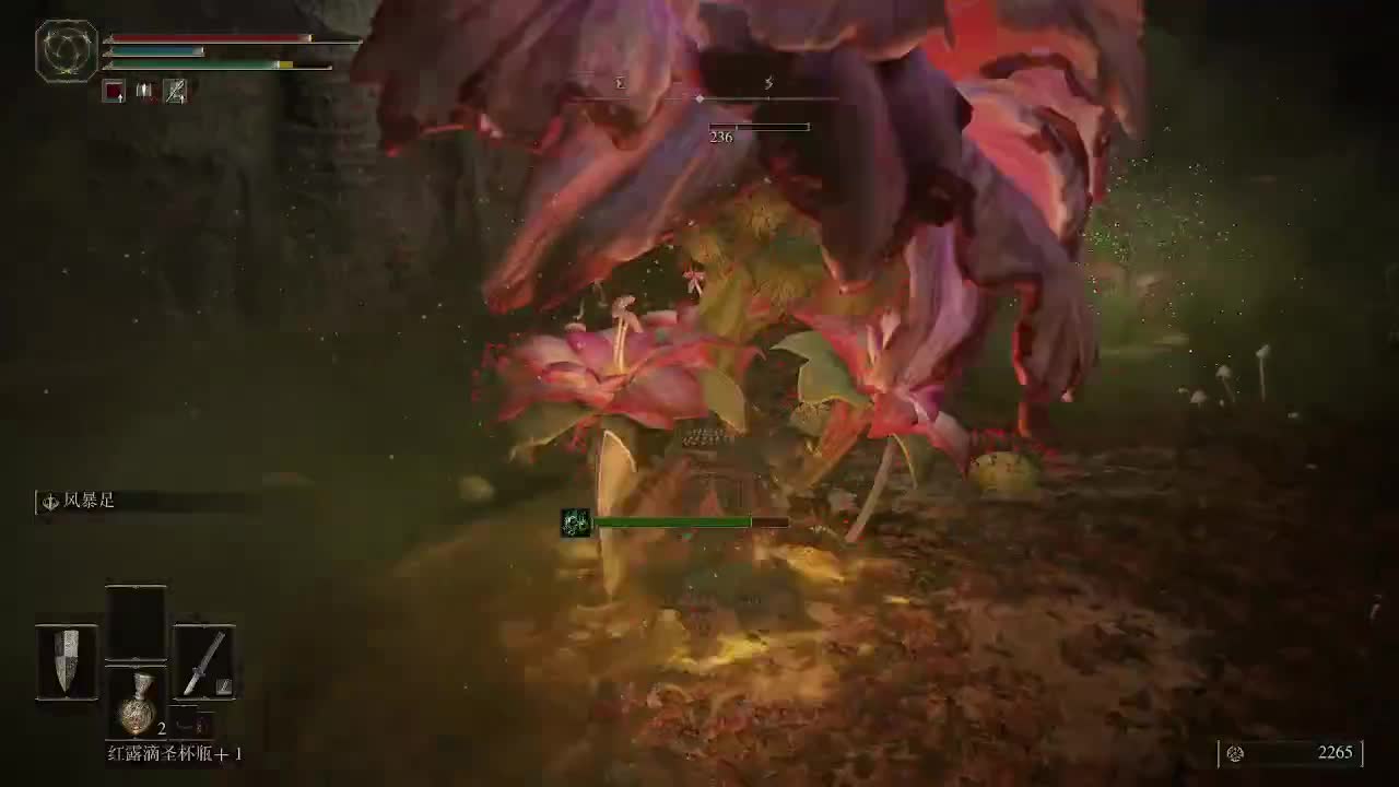 老头环，我的老头环