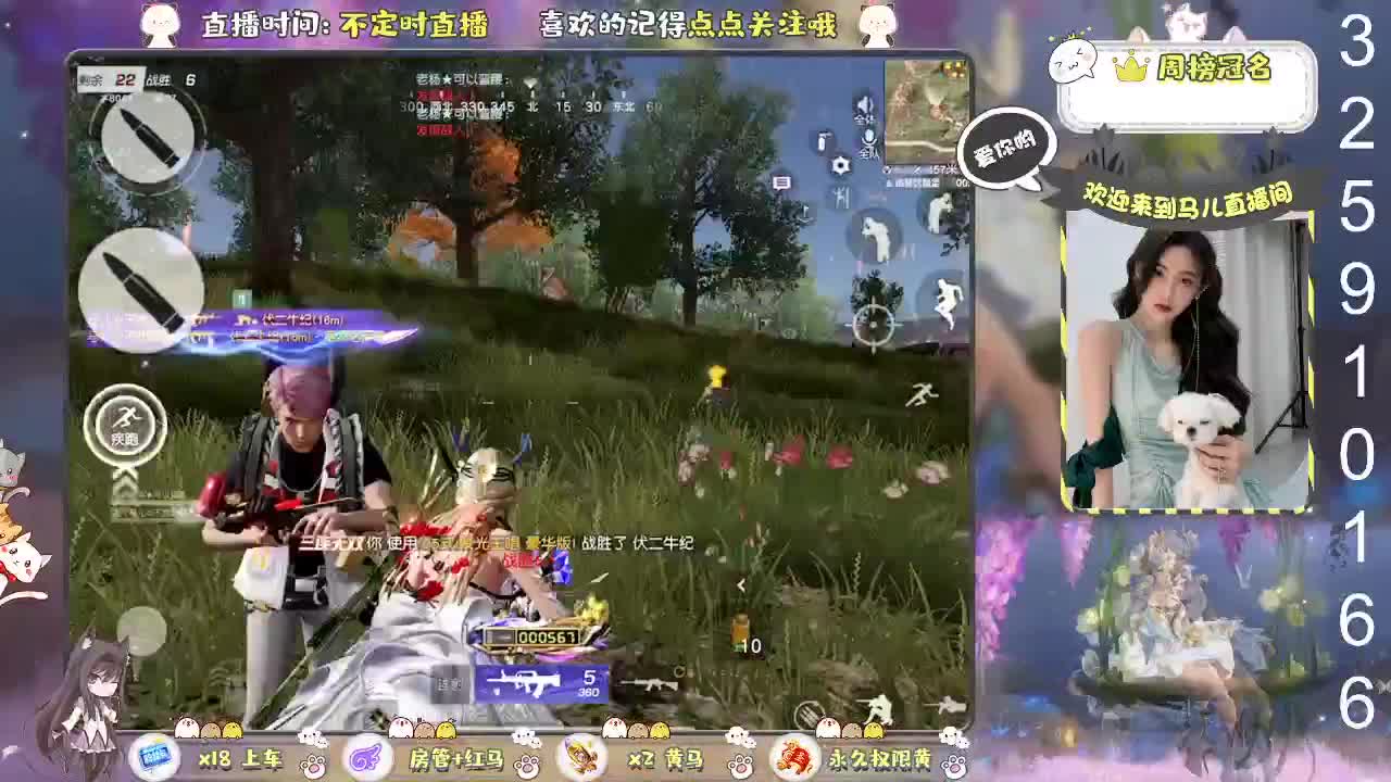 回来玩下