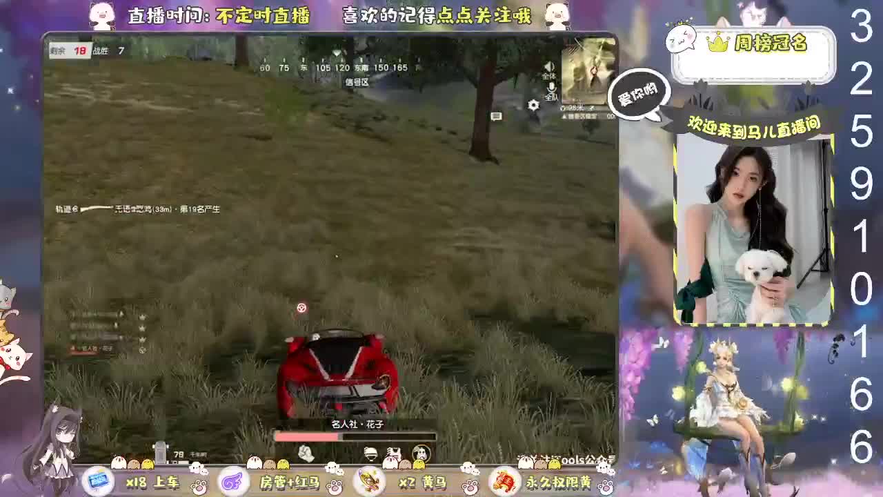 回来玩下