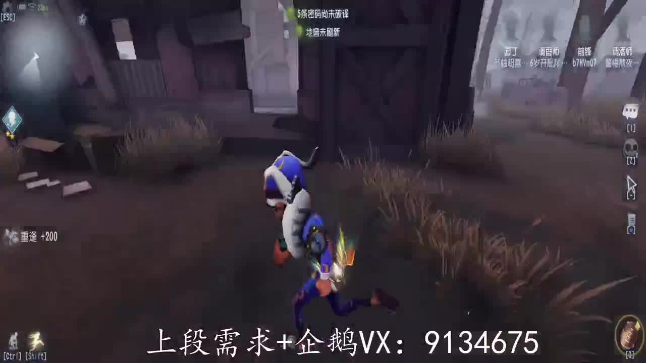 巅峰人皇在线接单