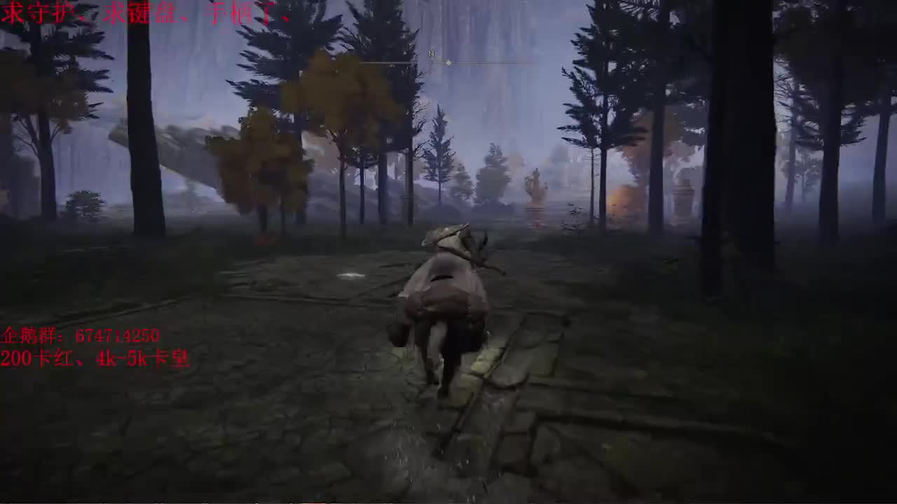 老头环开荒继续~