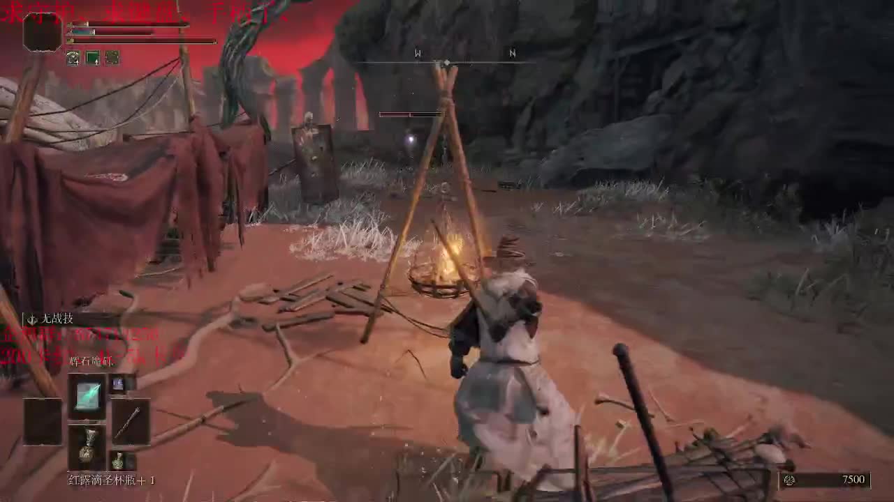 老头环开荒继续~ 第2段