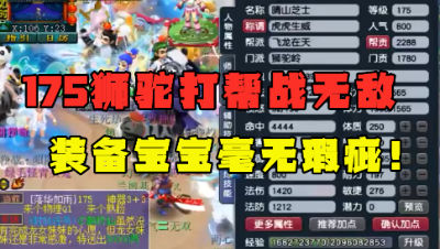 梦幻西游：这175狮驼打帮战剑会无敌，宝宝还有服战级，真暴力！