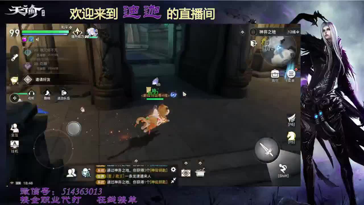 流光掌门人