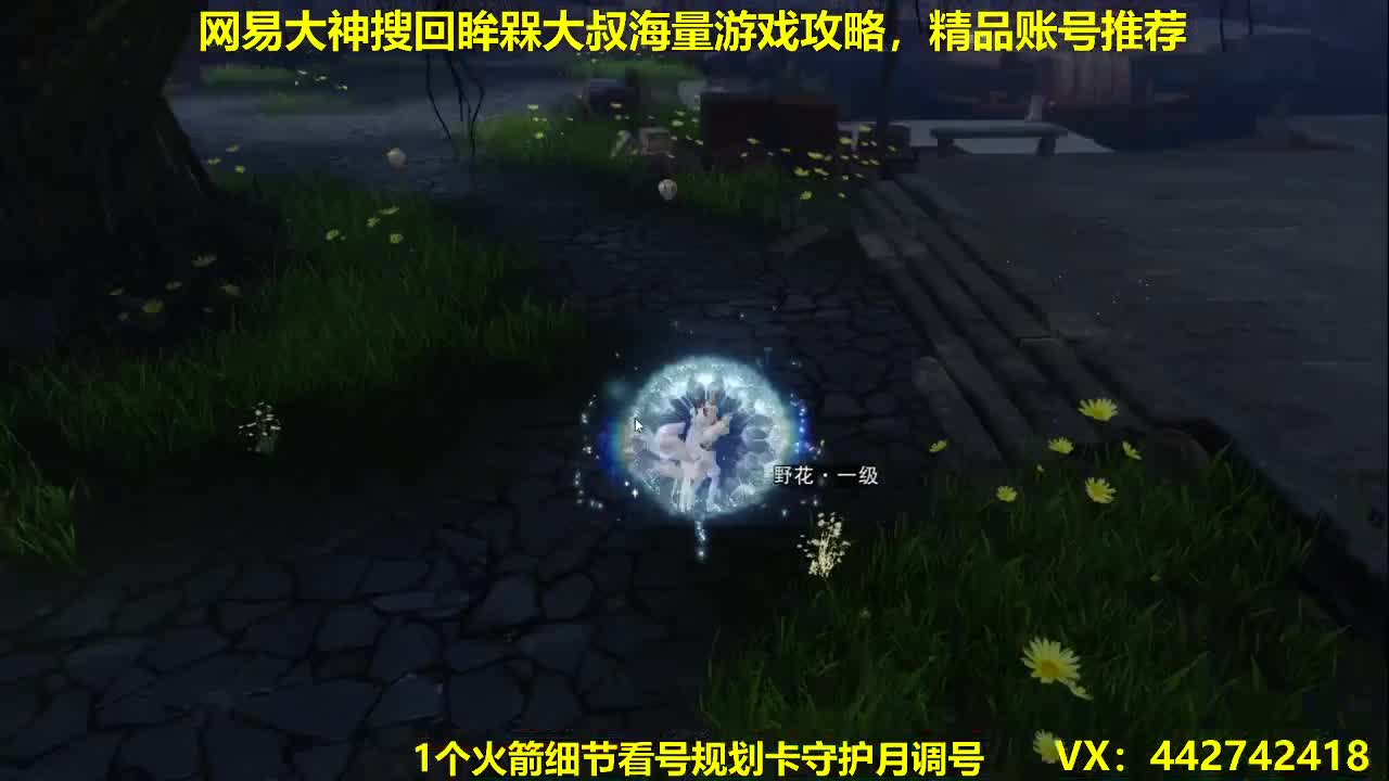 官方看号调号养号托管~代肝所以