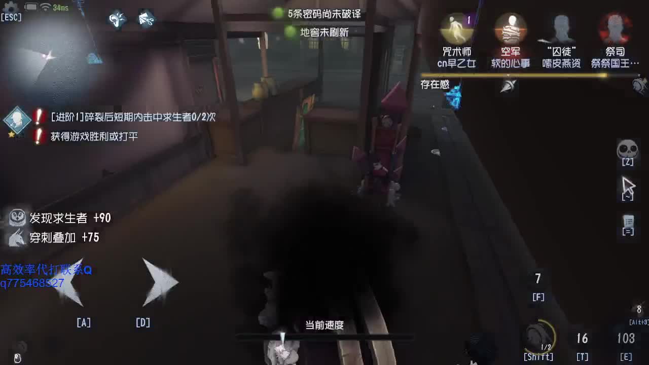 玩会猫猫~
