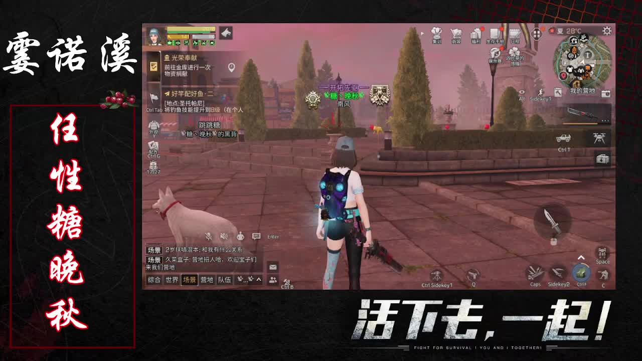 任性糖晚秋
