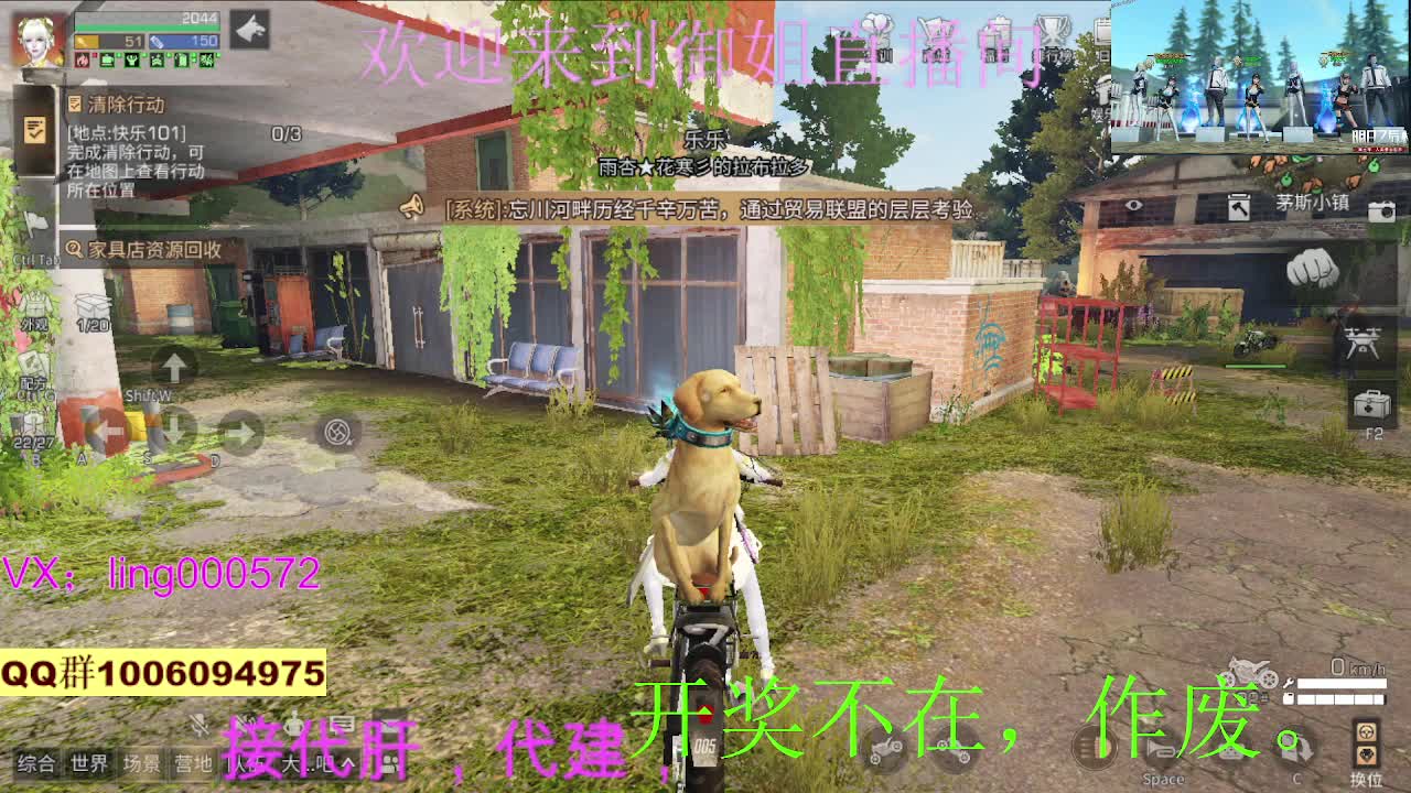 接代肝代建 第1段