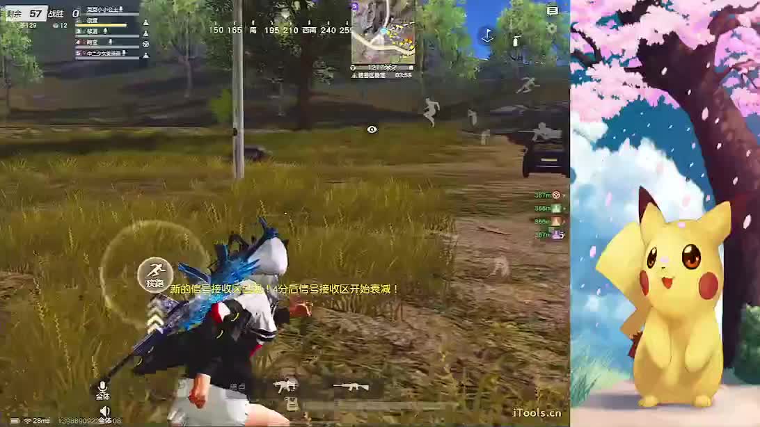 祝❤鱼儿妹妹·直播三周年快乐
