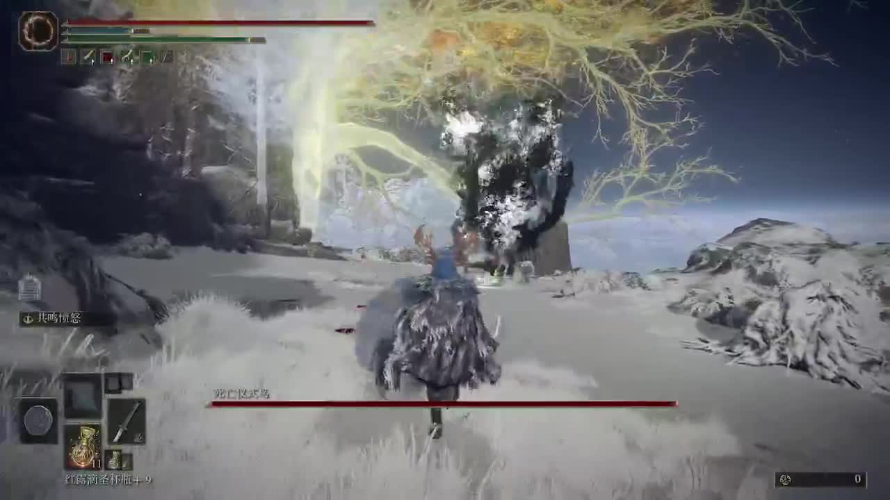 老头环！！！