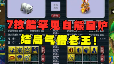 梦幻西游：7技能罕见白熊，竟直接拿来回炉？看到结局老王懵了！