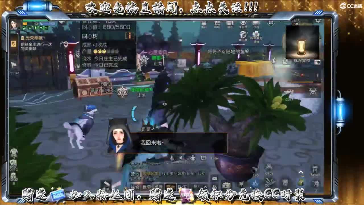 收纳孤独患者 第1段