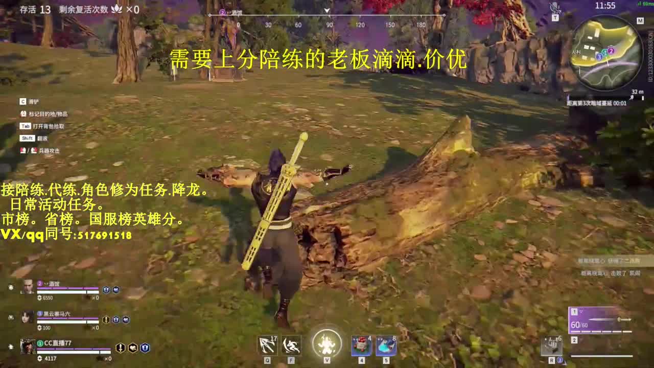 接陪连，代连，屠龙，修为！