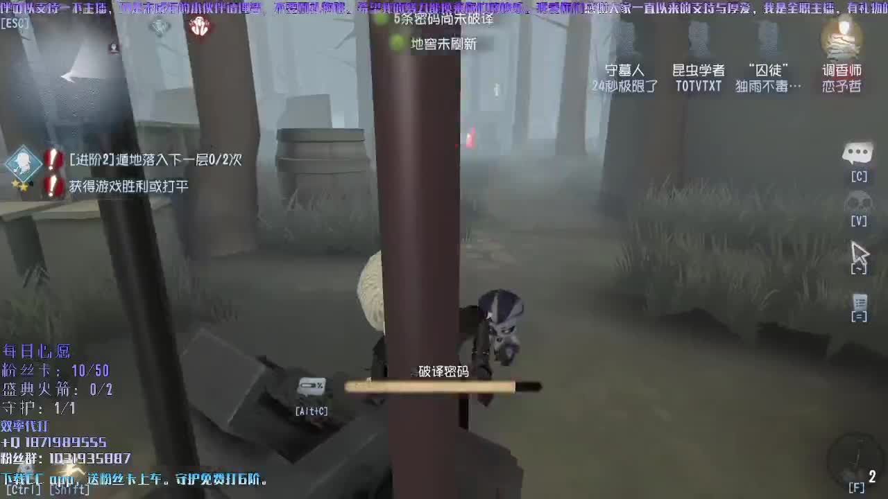 洋洋洋：排个帅气的位！ 第1段