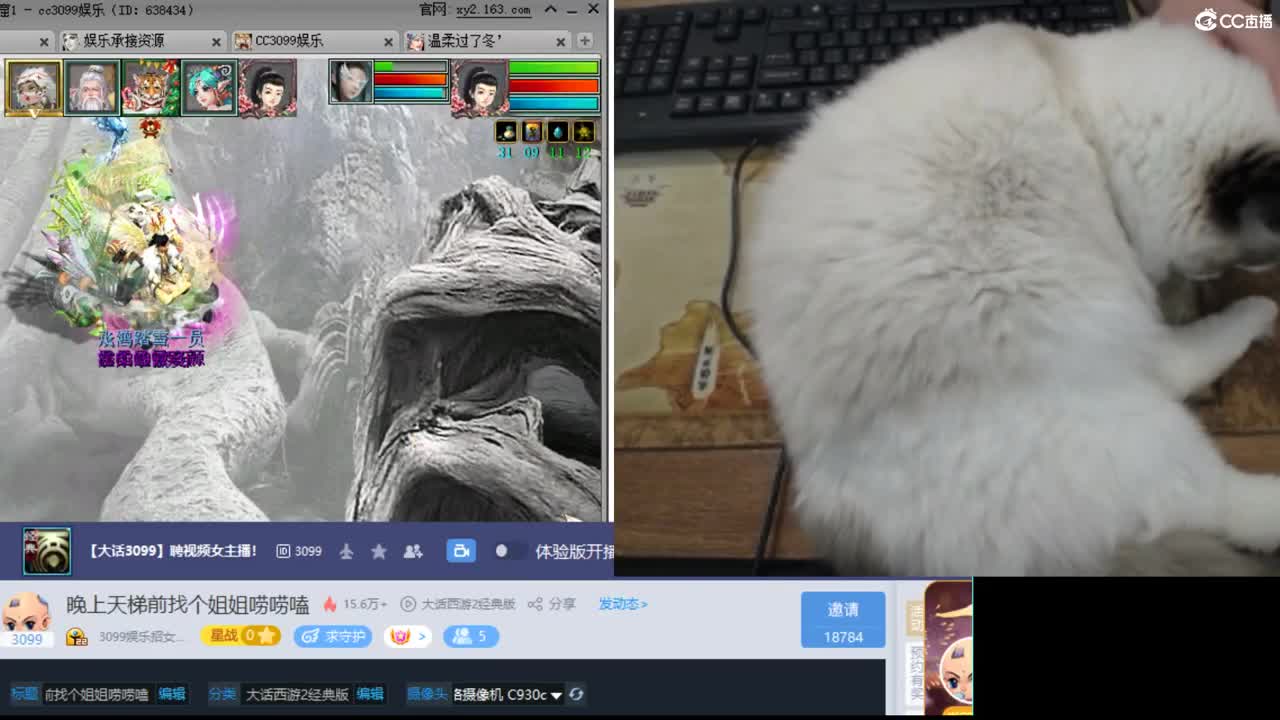 晚上天梯前找个姐姐唠唠嗑