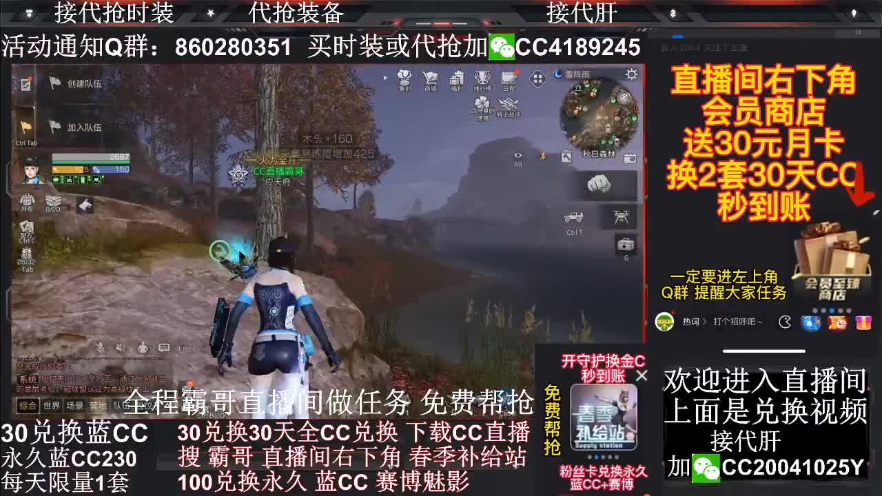 30换蓝C+白C+鸡腿 秒到账 第3段