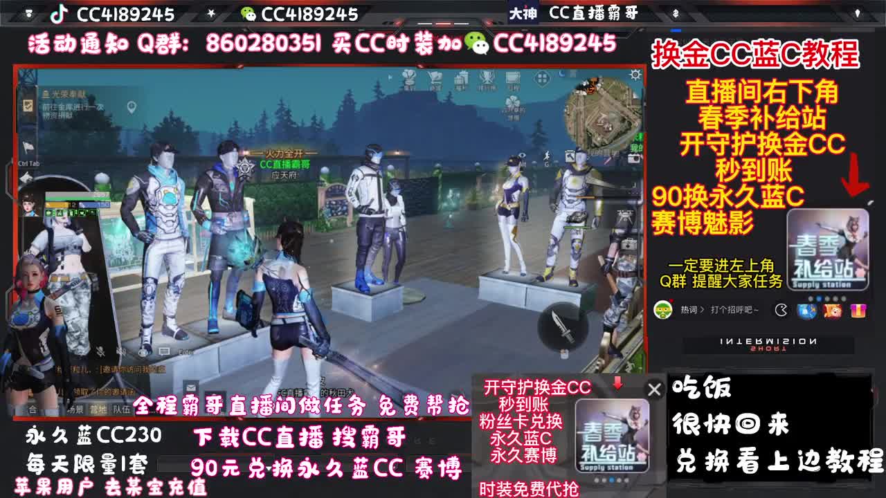 30换蓝C+白C+鸡腿 秒到账 第3段