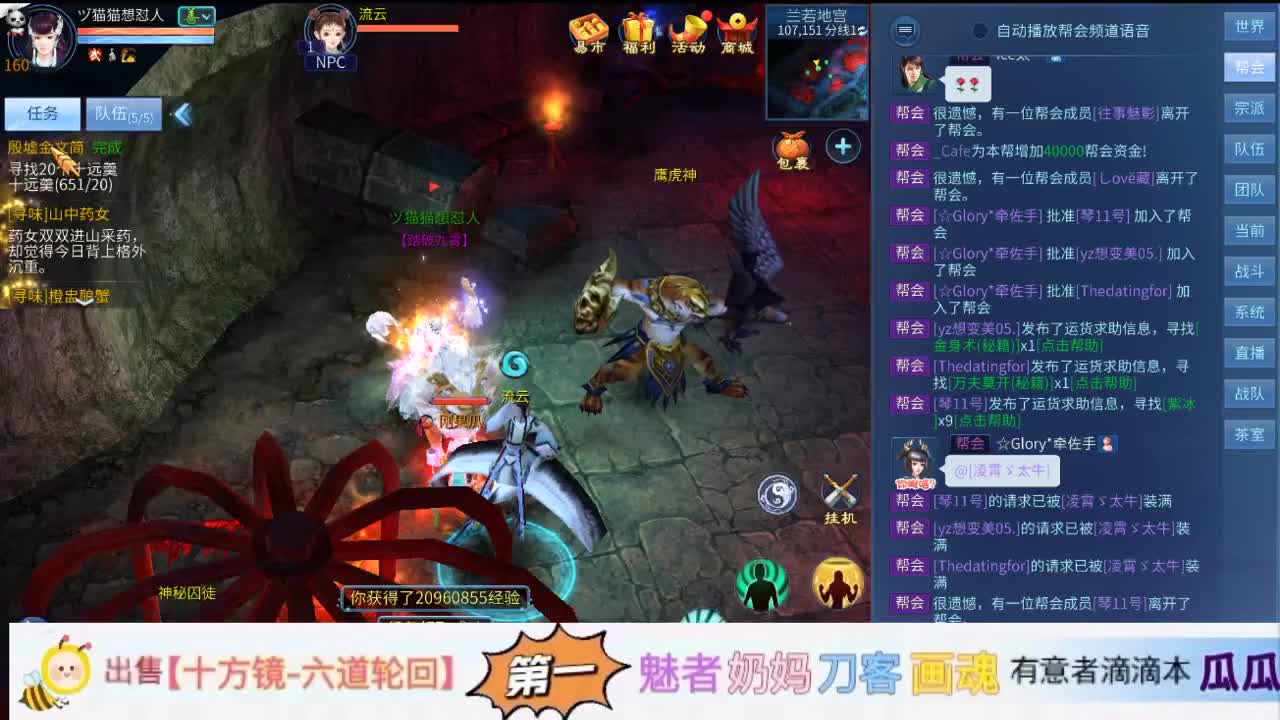 进来你就出不去了